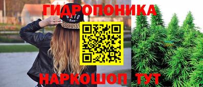 герыч Дубна