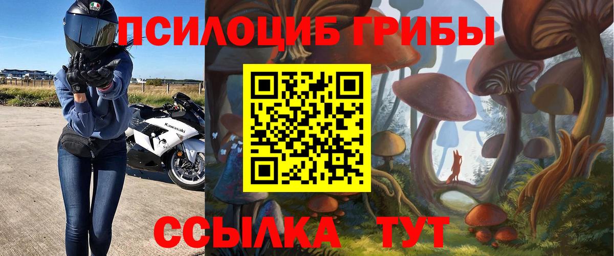 Надым  Псилоцибиновые грибы Magic Shrooms  как найти закладки  Вход с VPN 
