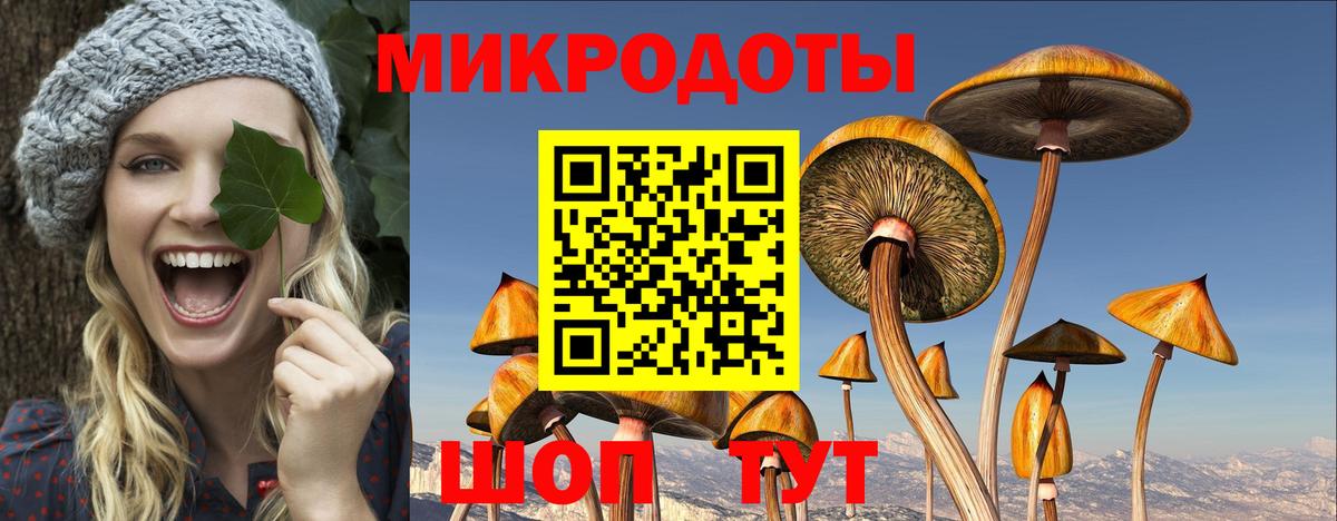 Галлюциногенные грибы Magic Shrooms Надым